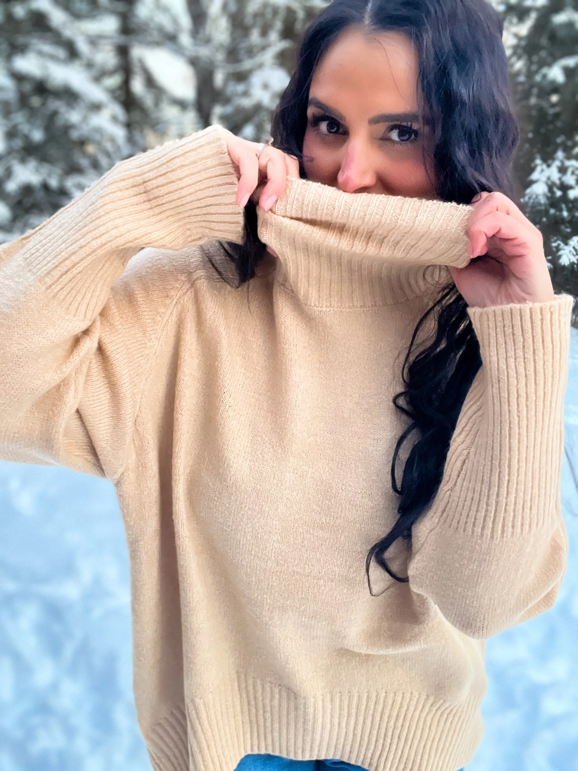A Classic Turtleneck LS Sweater- Taupe
