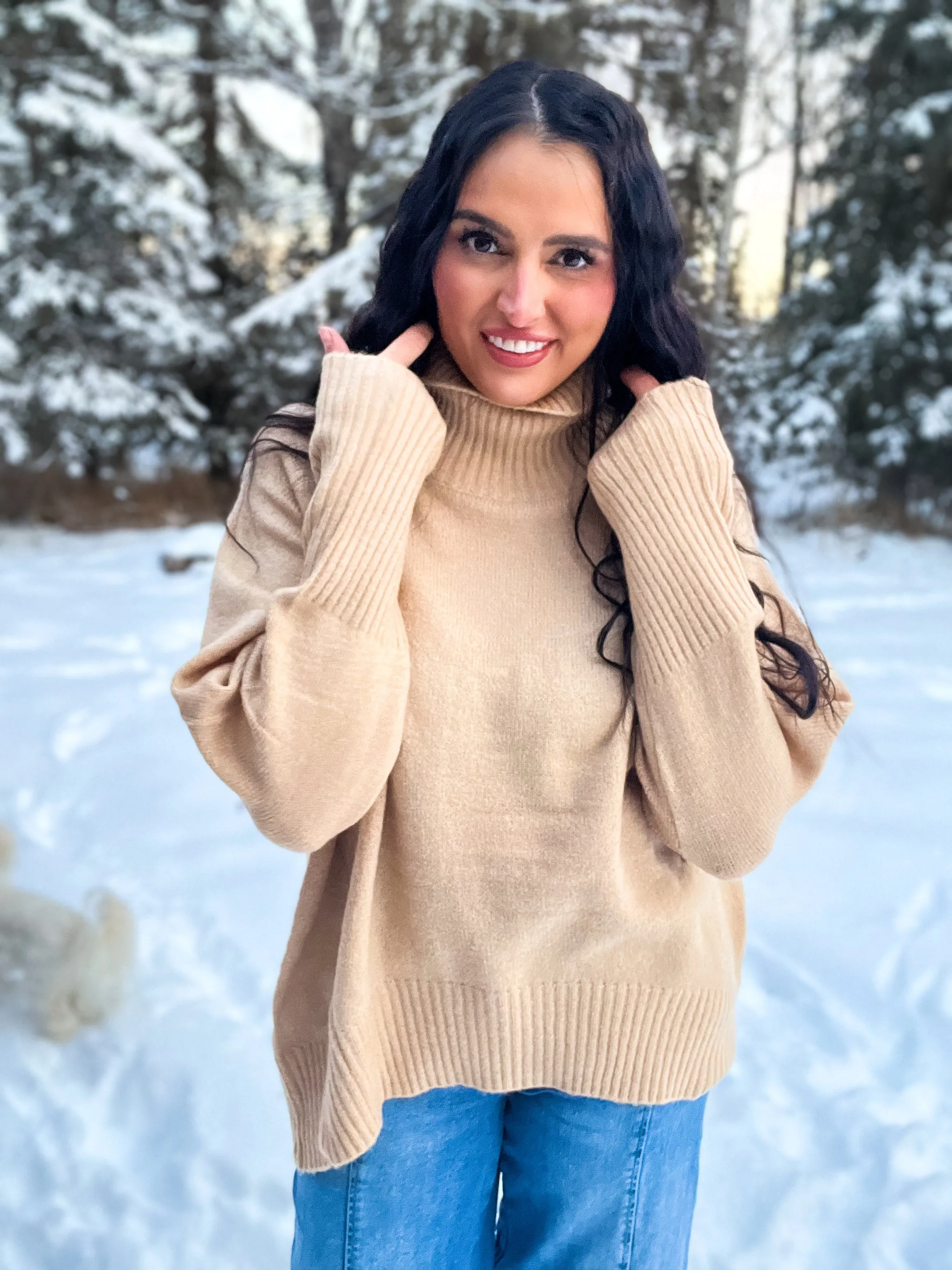 A Classic Turtleneck LS Sweater- Taupe